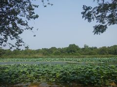 -东湖落雁景区
