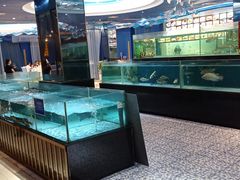 水产区-都市阳光海鲜城(青山湖店)