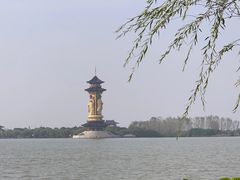 -溱湖国家湿地公园