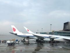 -首都机场t3-c国航两舱休息室