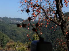 -丹山赤水风景名胜区