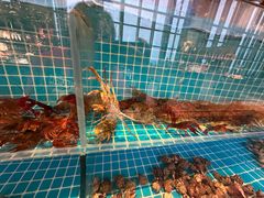 -视界美食自助餐厅·石家庄希尔顿酒店