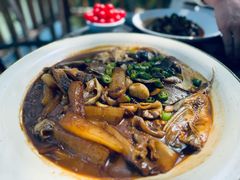 -张鸟园农家乐(张鸟园店)