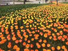 -廊坊文化艺术中心