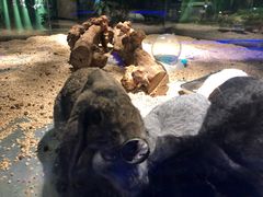 -昆明大悦城未来动物城(螺蛳湾中心店)
