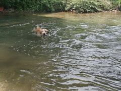 -华蓥山天意谷景区