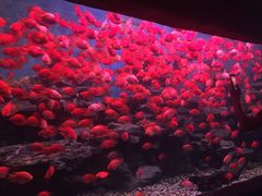 -多彩贵州城极地海洋世界