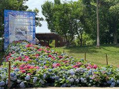 -武汉园博园(武汉自然博物馆)