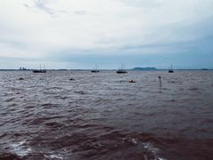 -贡湖湾湿地公园