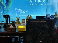 -道合堂·中式按摩·spa(民治店)