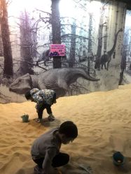 -恐龙探索乐园(磁器口店)