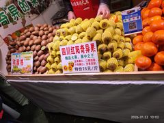 -中国农业博物馆