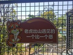 -深圳野生动物园