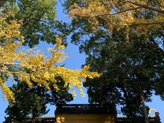 -灵岩山风景区