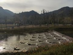 -千年银杏谷文化旅游区
