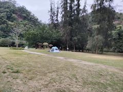 -南宁良凤江国家森林公园