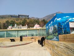 -东方熊牧场
