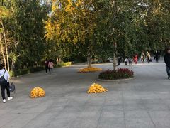 -黑龙江省森林植物园