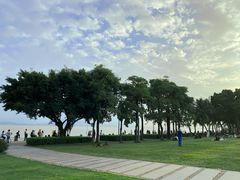 -深圳湾公园(南山区)