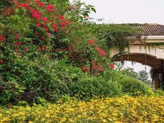 -府河摄影公园