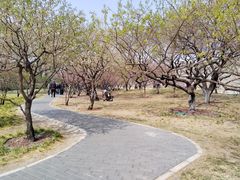 -北京明城墙遗址公园