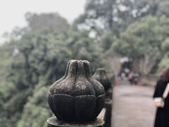 -南山植物园