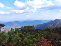 -妙道山国家森林公园