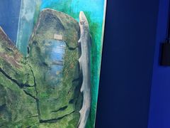 -石家庄海洋公园