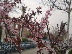 -山东理工大学