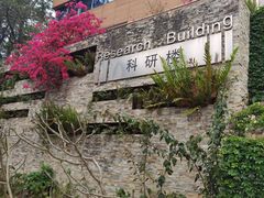 -深圳仙湖植物园