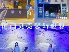 -贝壳梦幻世界
