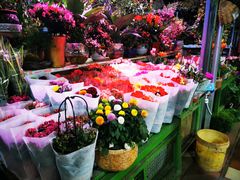 -朝来春花卉市场-东停车场