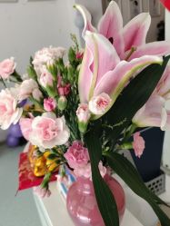 -Dr.林醫生产后修复·配方产康店(南京大厂店)