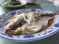 清蒸白丝鱼-状元楼(金溪路店)