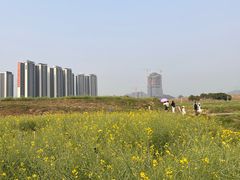 -光明小镇欢乐田园