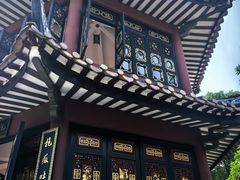 -碧江金楼