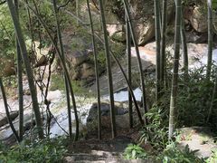 -四明湖