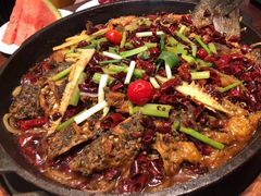 -老板恋上鱼(恒隆广场店)