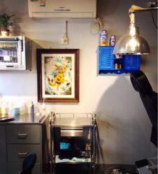 iphone_upload_pic-腾龙刺青纹身TATTOO