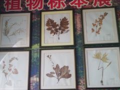 -狼牙山风景区