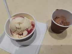 -哈根达斯(石家庄北国店)