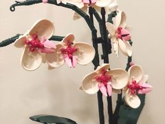 -Again Coffee Roaster(香蜜湖店)