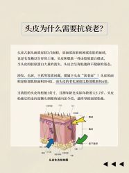 -诗碧曼养发