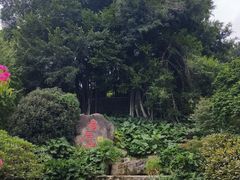 -乌山风景区
