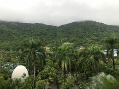 -100蛋泥浆浴