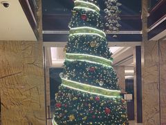 -厦门国际会议中心酒店(环岛路酒店)