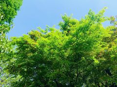 -杭州黄龙洞