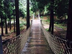 -四明山国家森林公园