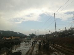 -大姆山草场