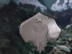 -南昌海洋公园